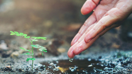 dia Mundial del Medio Ambiente