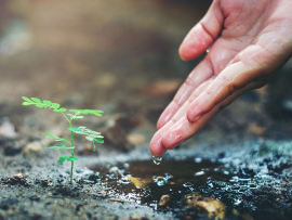 dia Mundial del Medio Ambiente