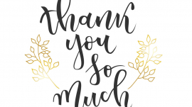 frases principiantes