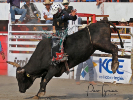 02 bull fighters hablan ingles