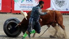 03 bull fighters hablan ingles