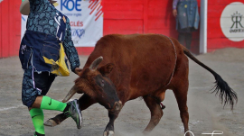 bull fighters hablan ingles