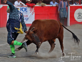 bull fighters hablan ingles
