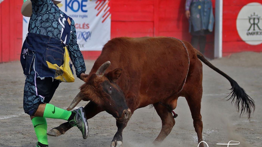 bull fighters hablan ingles