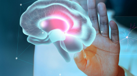 hablar ingles cerebro