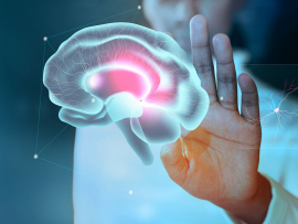hablar ingles cerebro