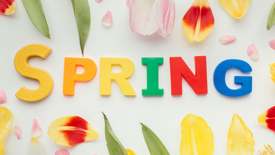 Vocabulario de primavera en ingles